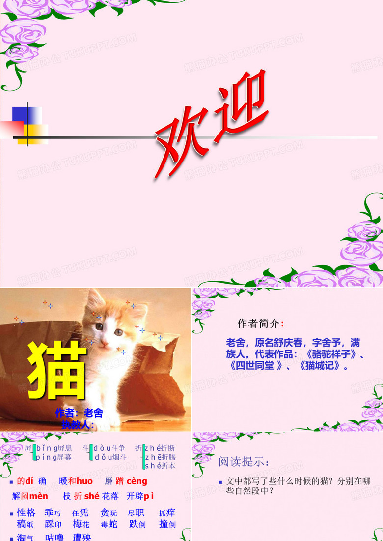老舍 《猫》