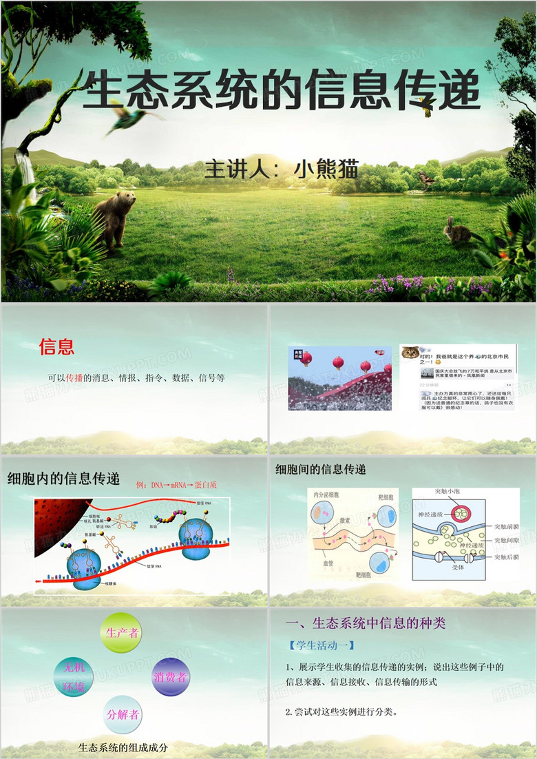 绿色简约风生态系统的信息传递PPT模板