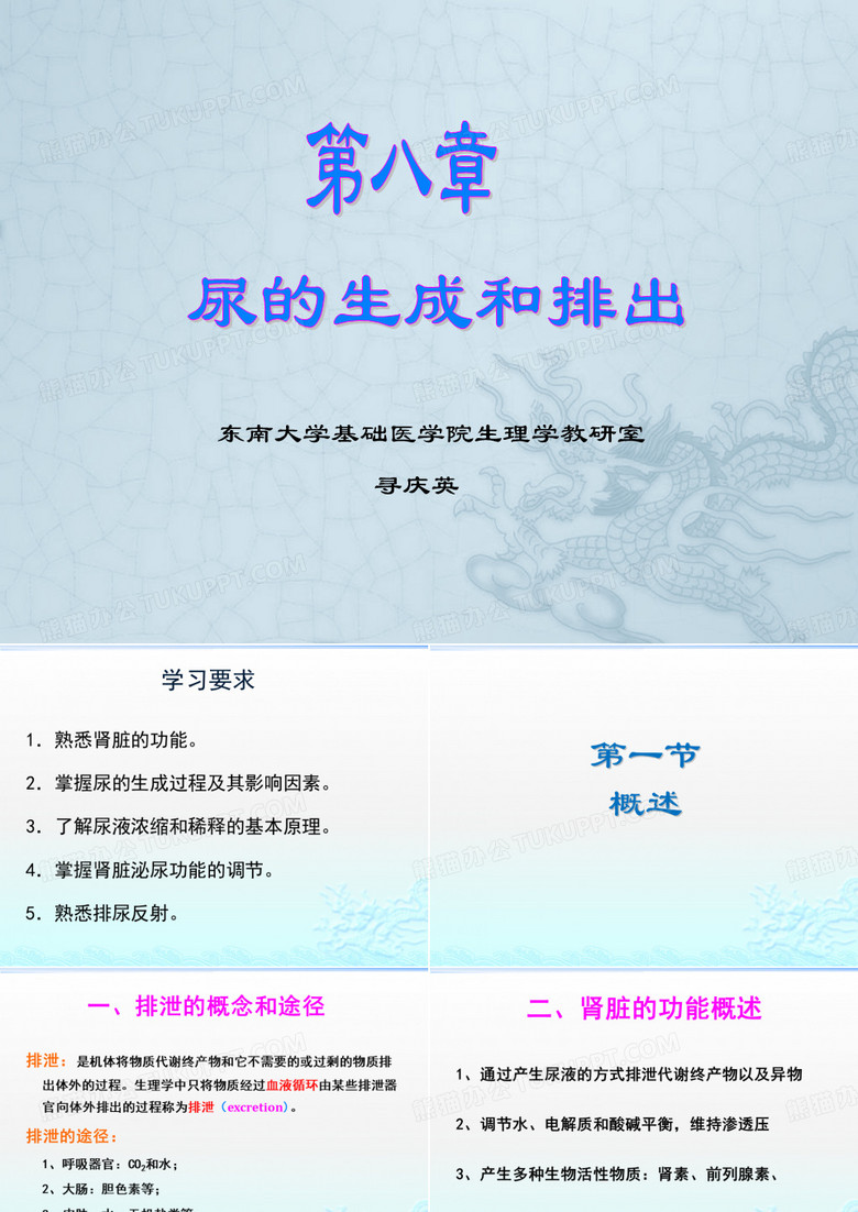 肾脏 肾脏的功能 尿的生成过程
