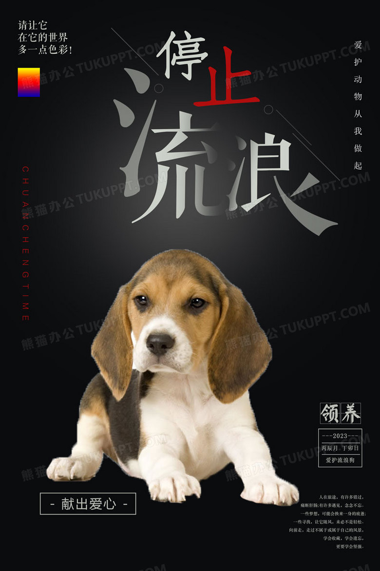 流浪猫狗宣传海报图片