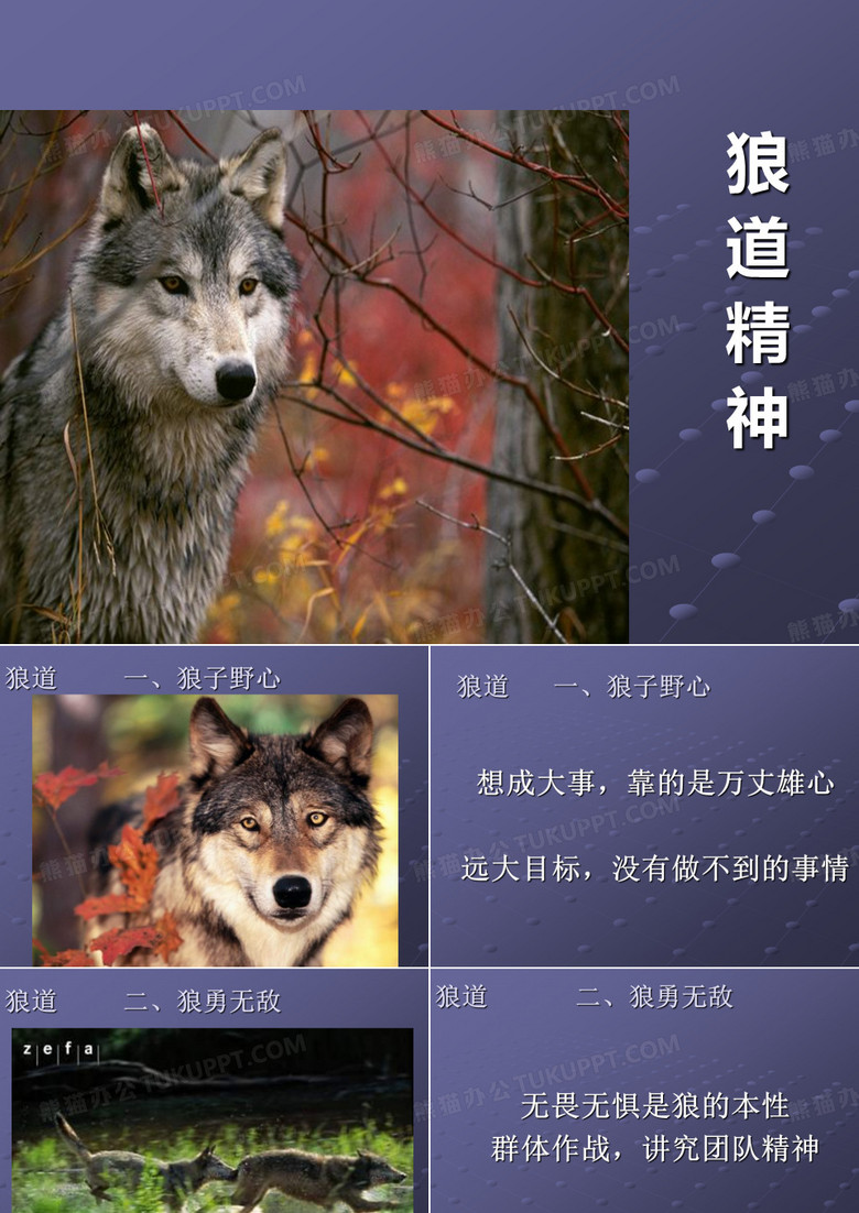 狼道精神