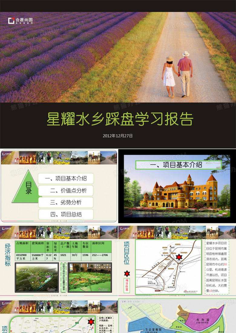 星耀水乡