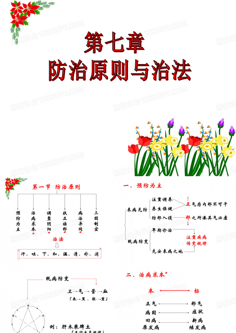 中医中药11