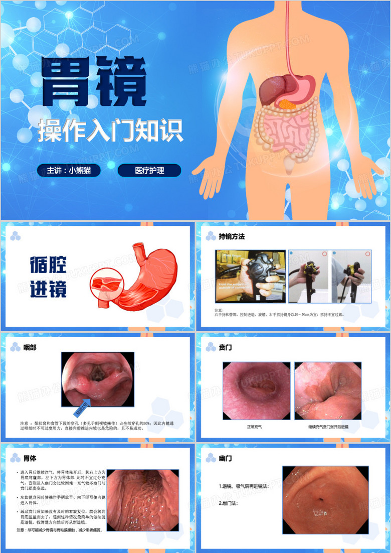 蓝色简约风胃镜入门操作知识PPT模板