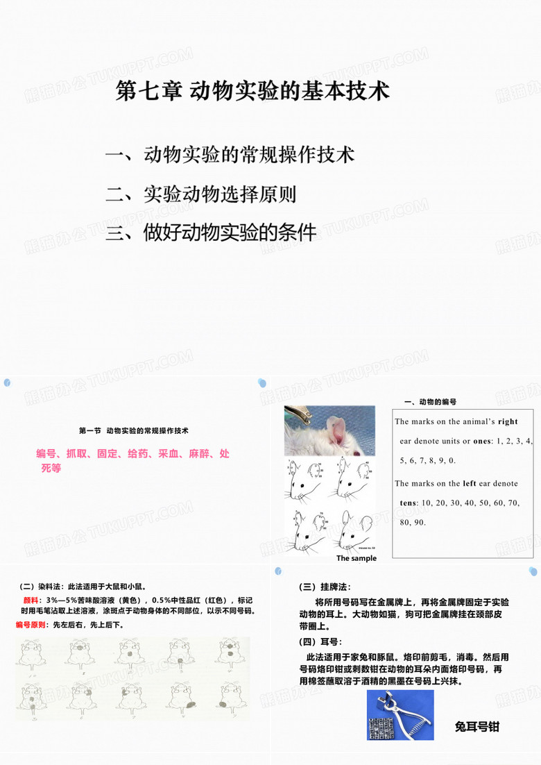 动物实验技术 动物实验的基本操作