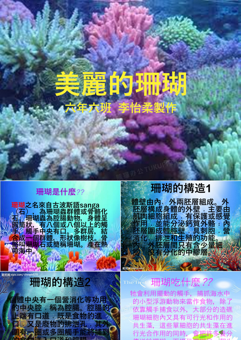 美丽的珊瑚