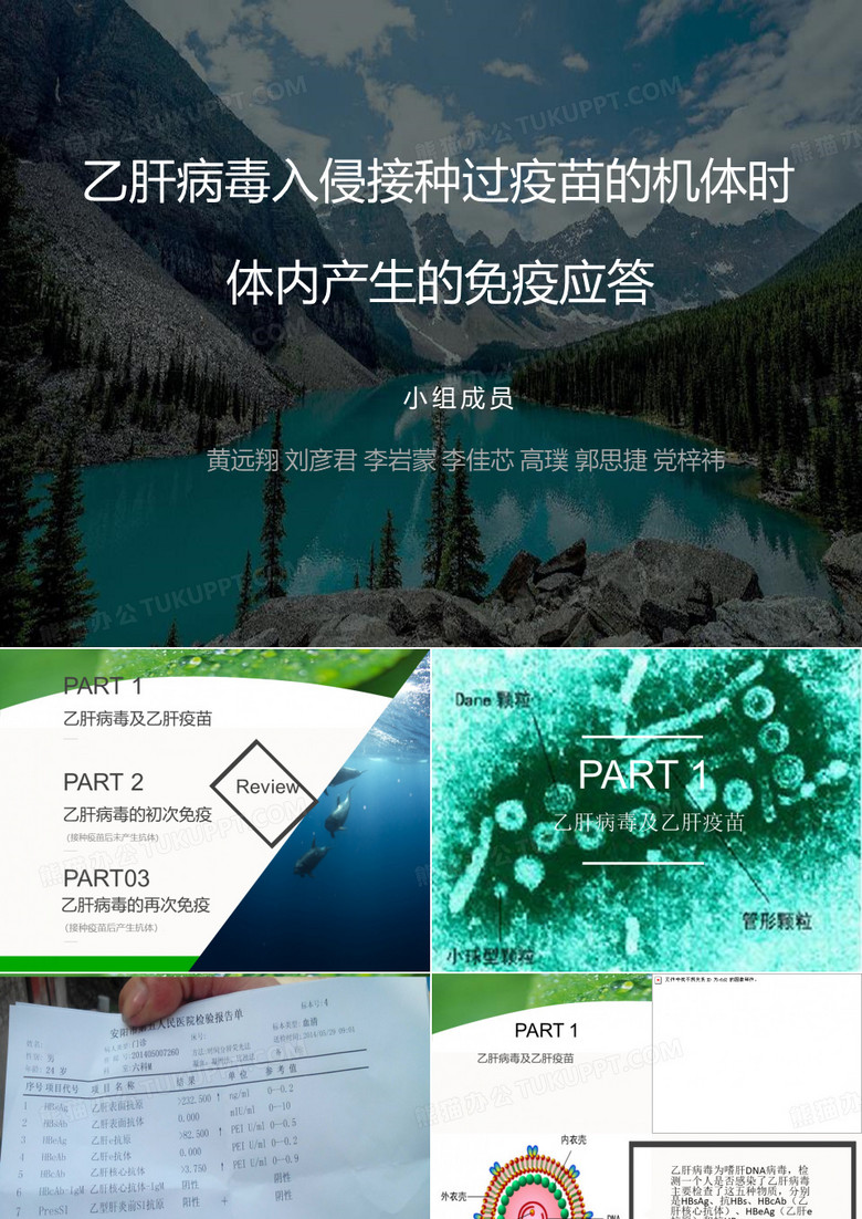 乙肝免疫