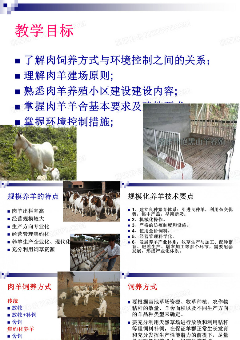 羊场养殖场修建