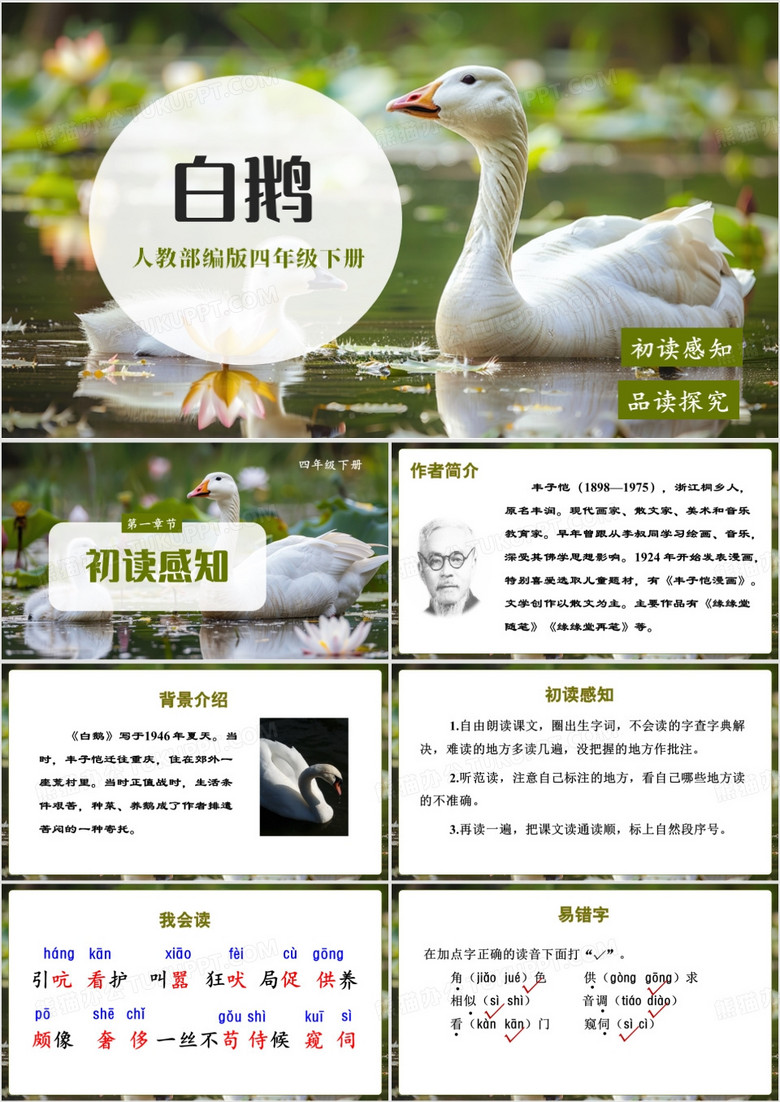 人教版四年级下册白鹅课件PPT模板