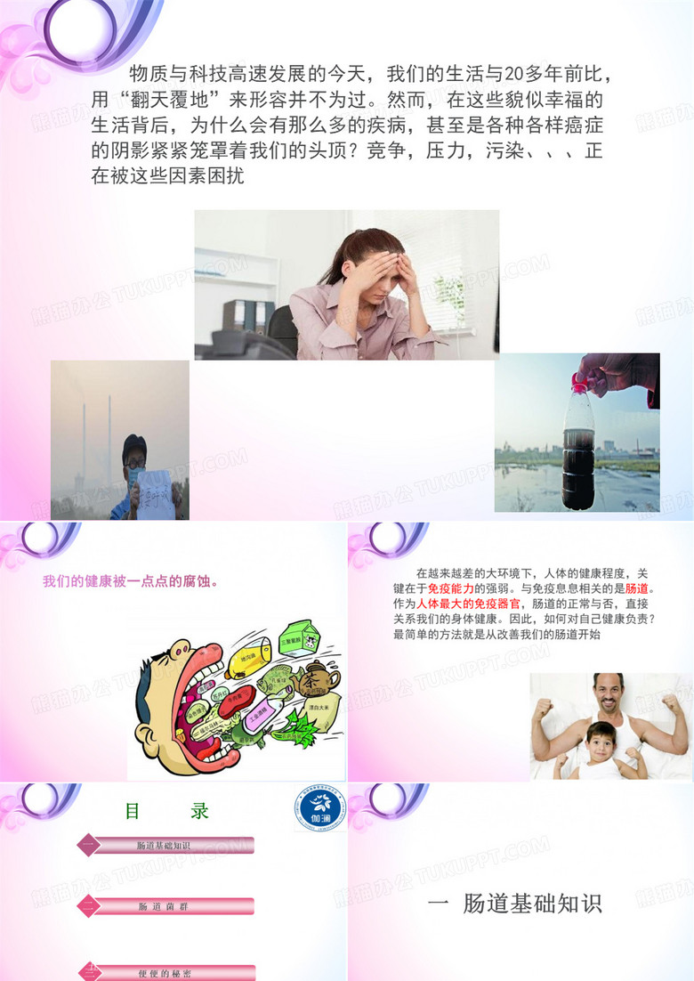 肠道与健康