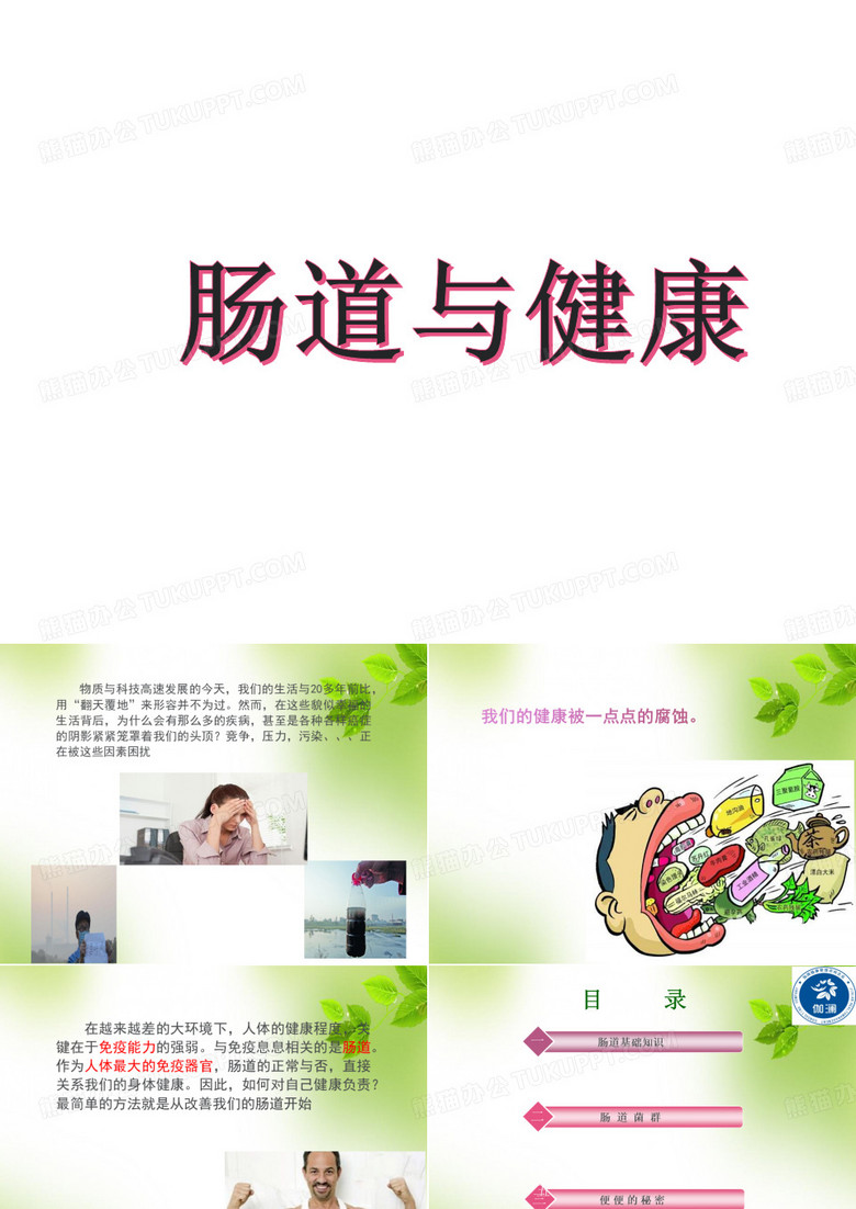 肠道与健康 PPT