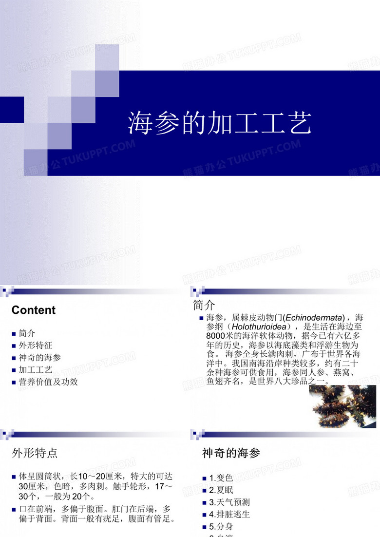 海参的加工工艺