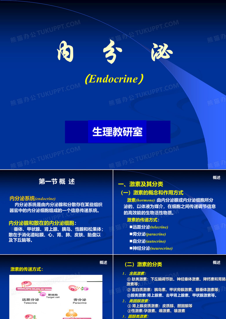 内分泌