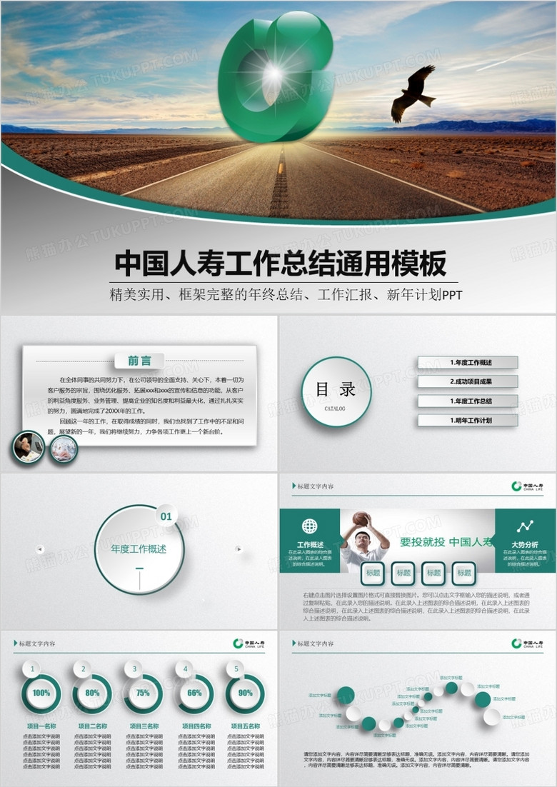 绿色简约中国人寿工作报告总结PPT模板