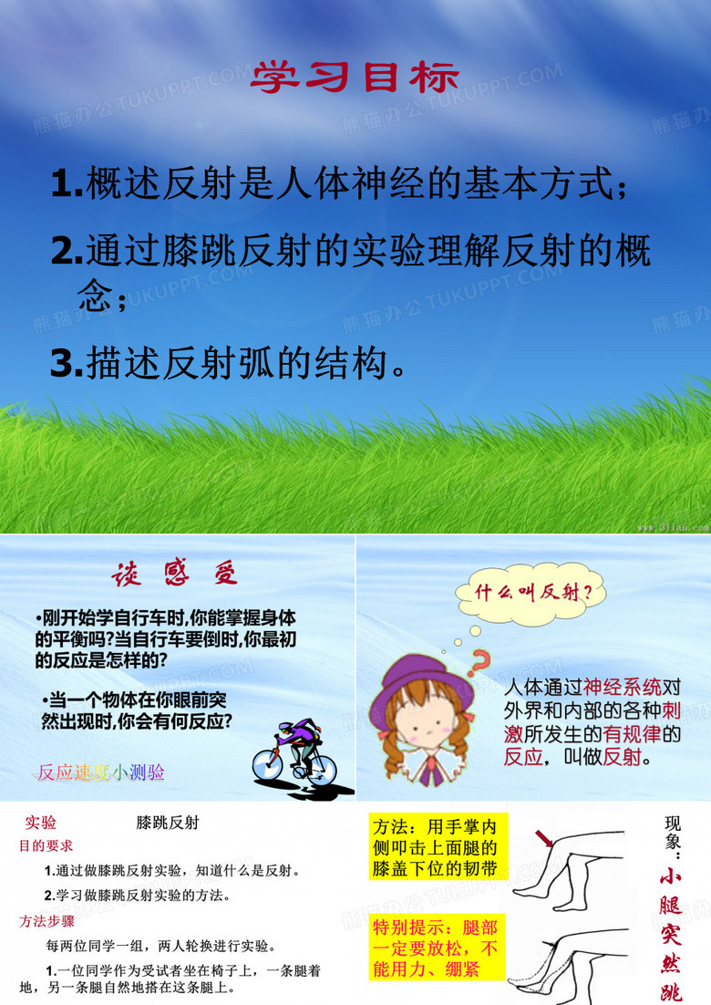 人教版七下第六章第三节神经调节的基本方式(共27张PPT)