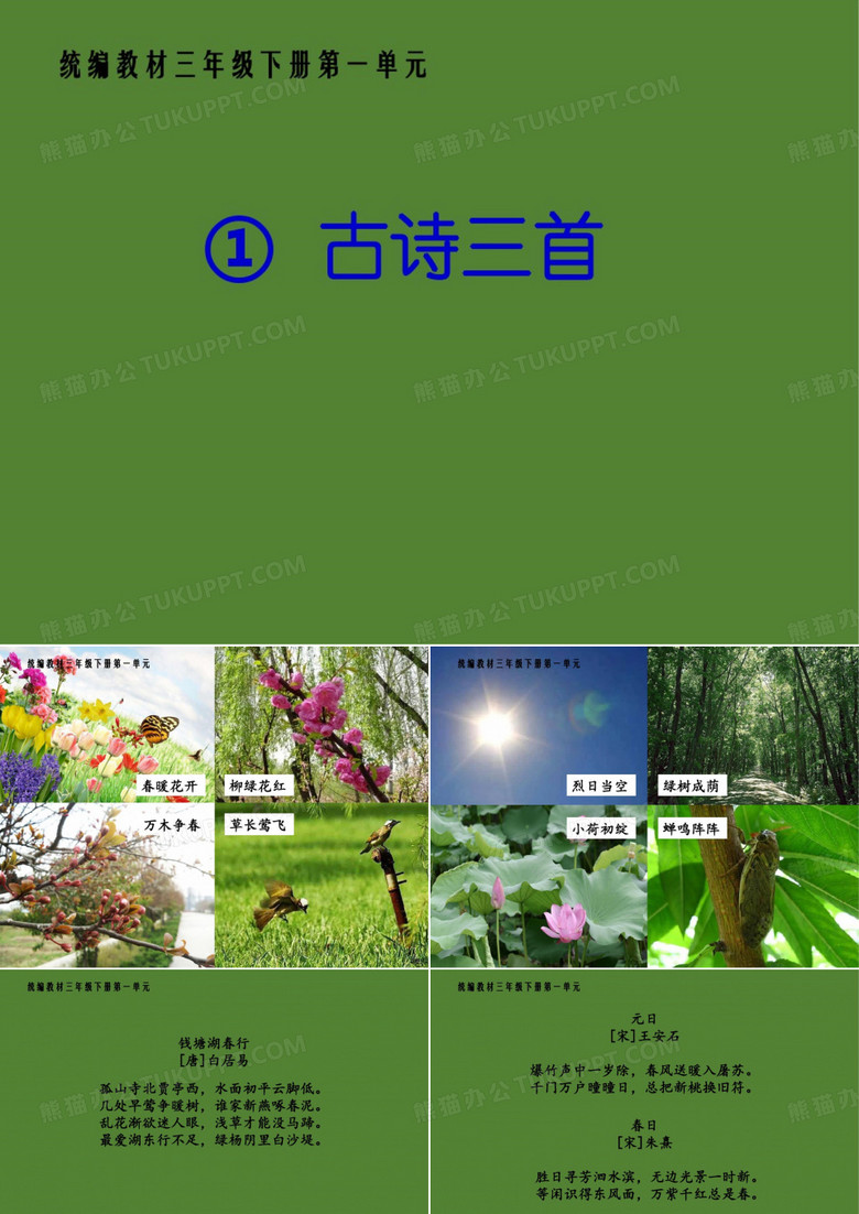 部编版《三衢道中》课件完美版1