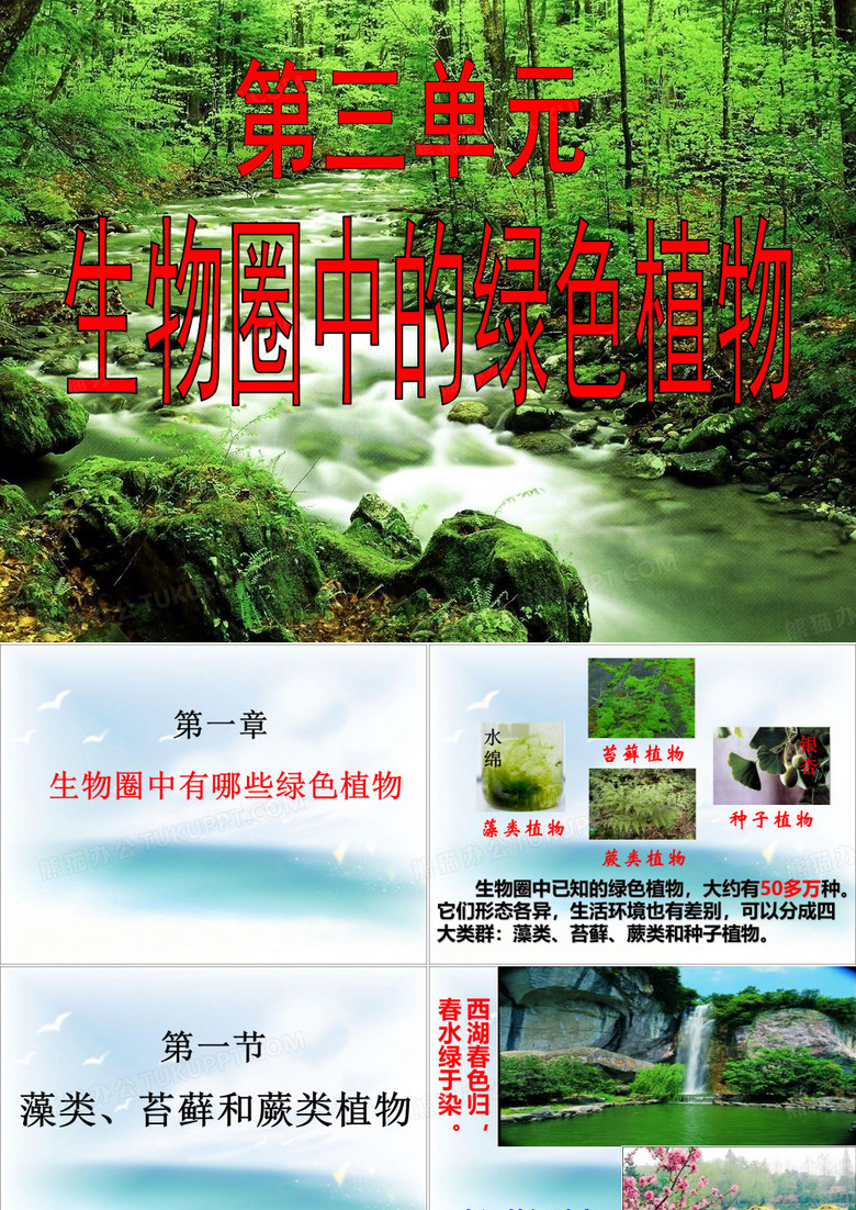 人教版七上第三单元第一章第一节藻类、苔藓和蕨类植物(共30张PPT)(001)