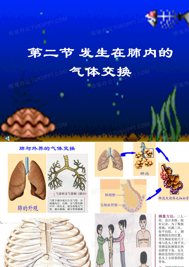 人教版七年级下册第三章第二节发生在肺内的气体交换(共16张PPT)