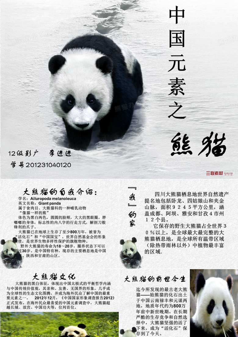 中国元素--熊猫