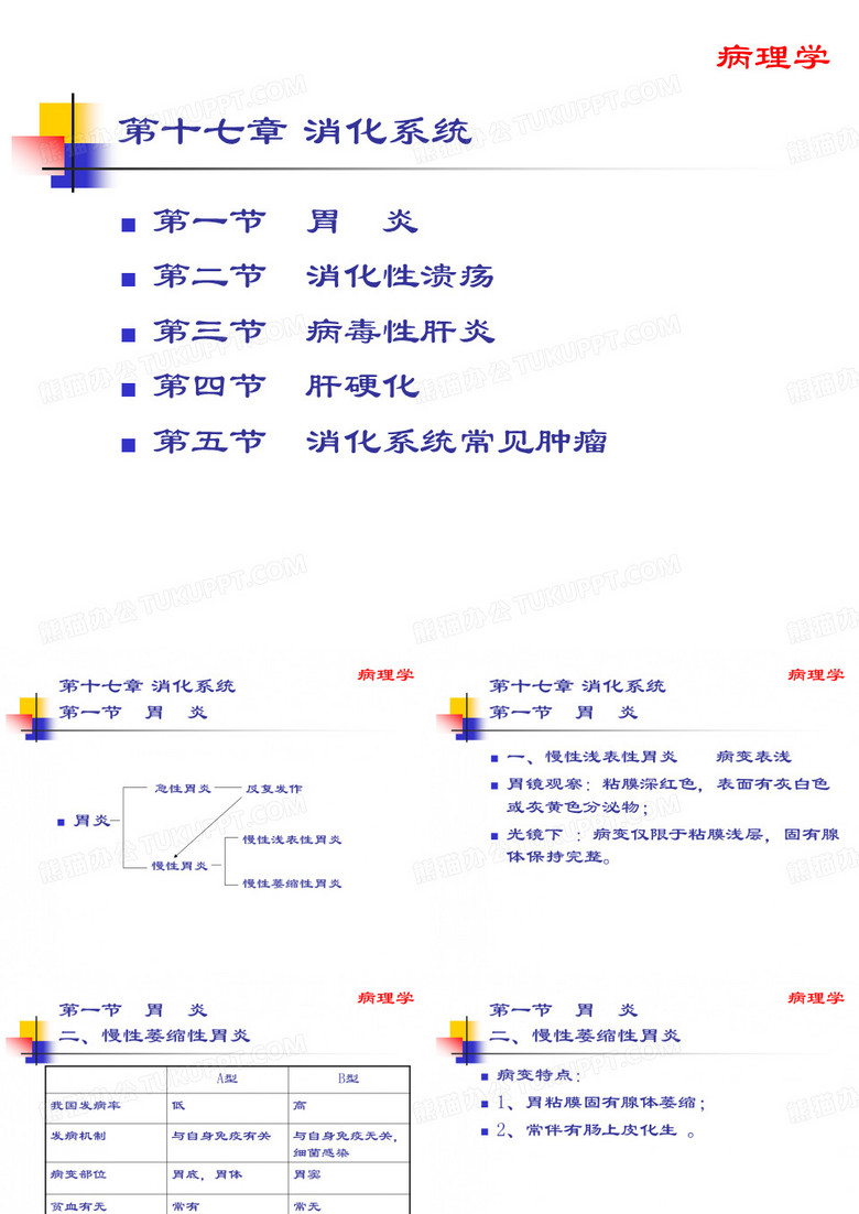 消化系统