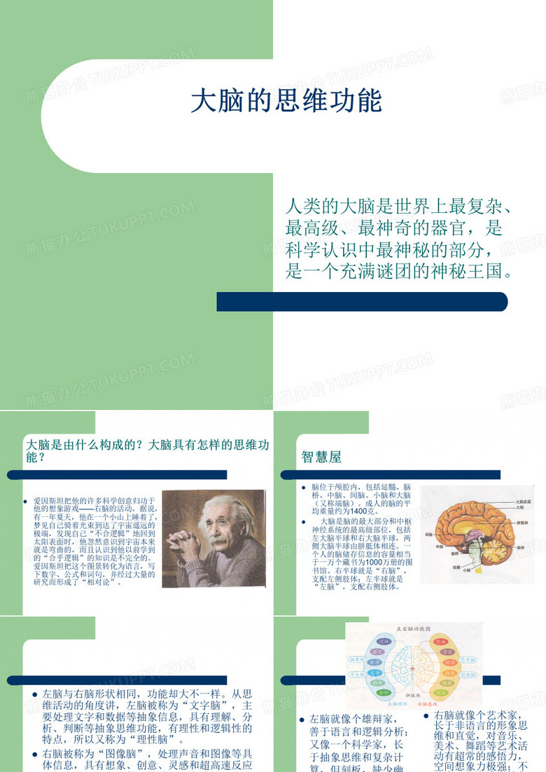 大脑的思维功能ppt课件
