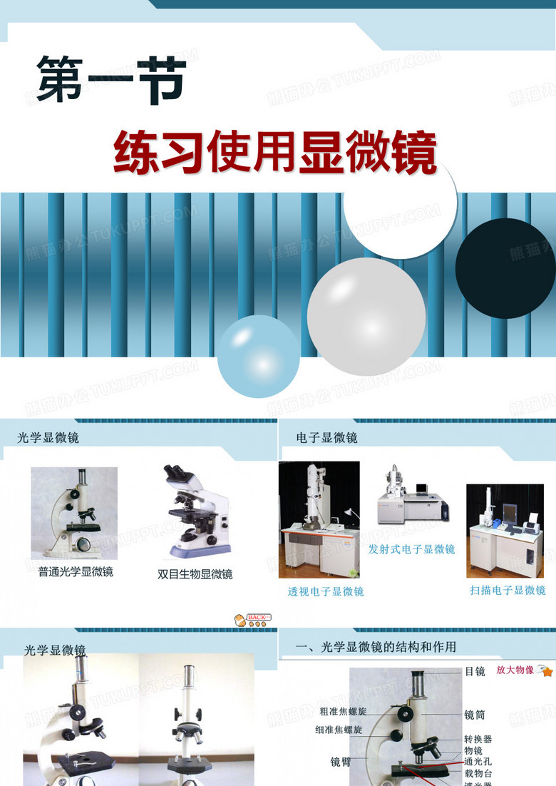 人教版七上第二单元第一节练习使用显微镜(共36张PPT)(002)