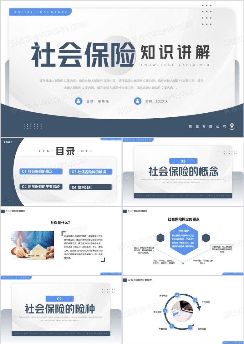 简约风蓝色社会保险知识讲解PPT模板