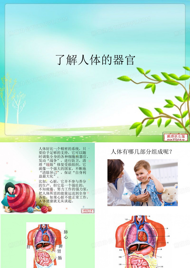 了解人体的器官