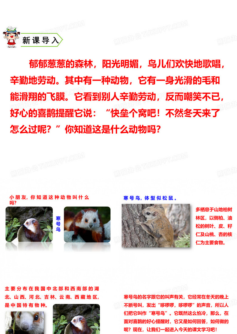 寒号鸟