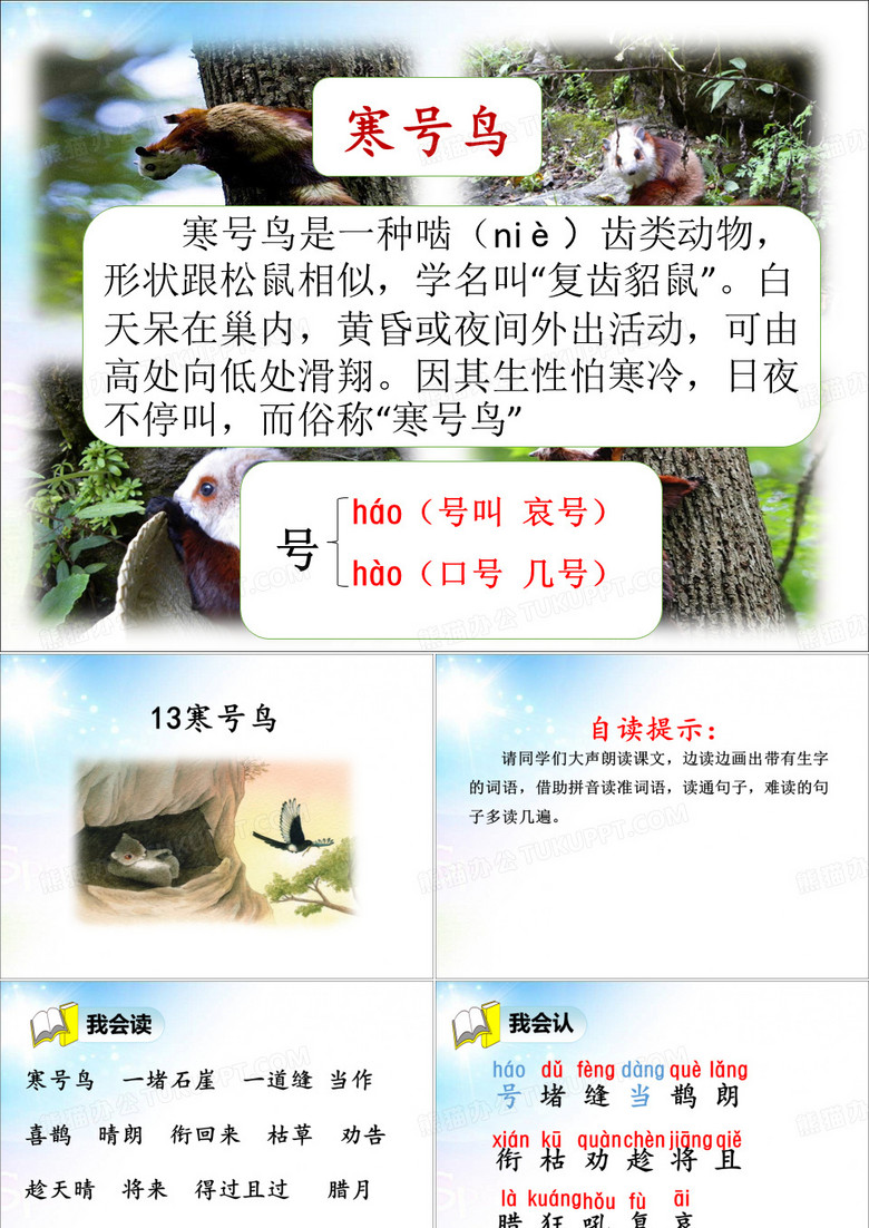 寒号鸟