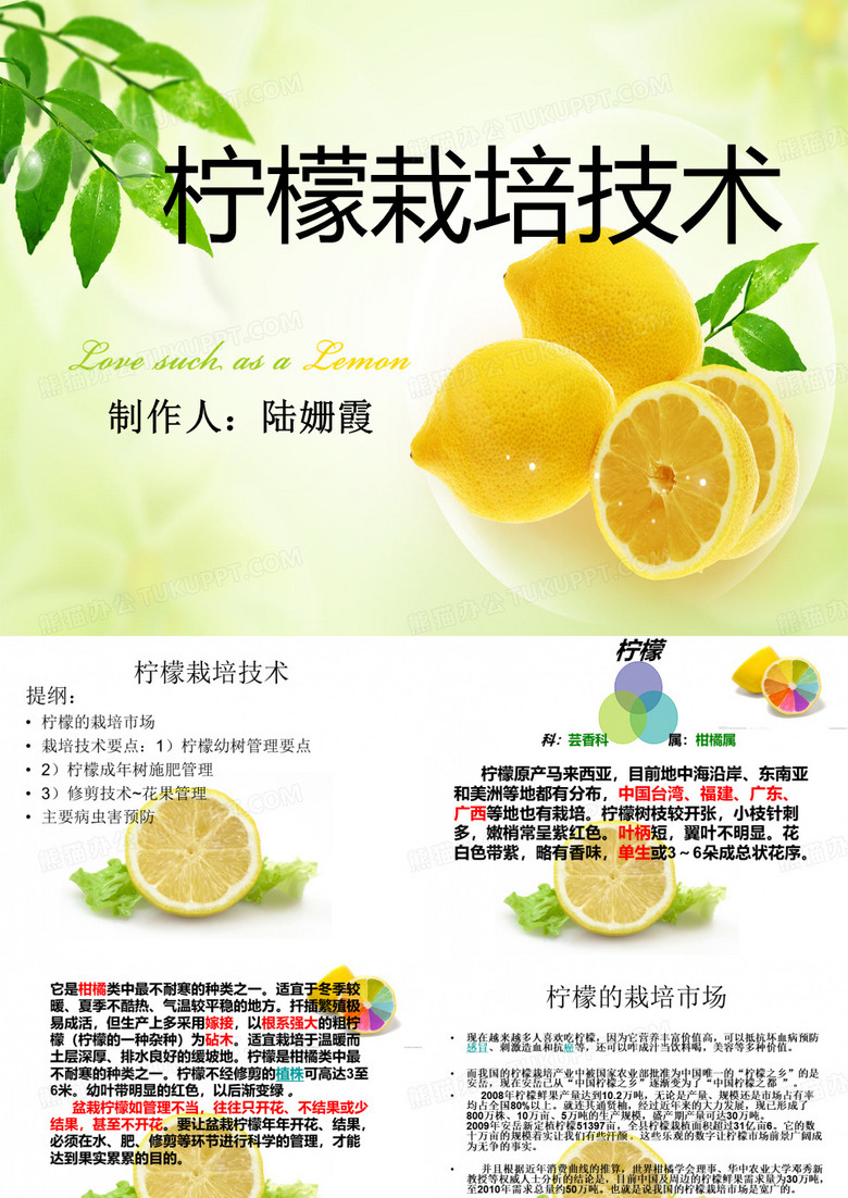 柠檬