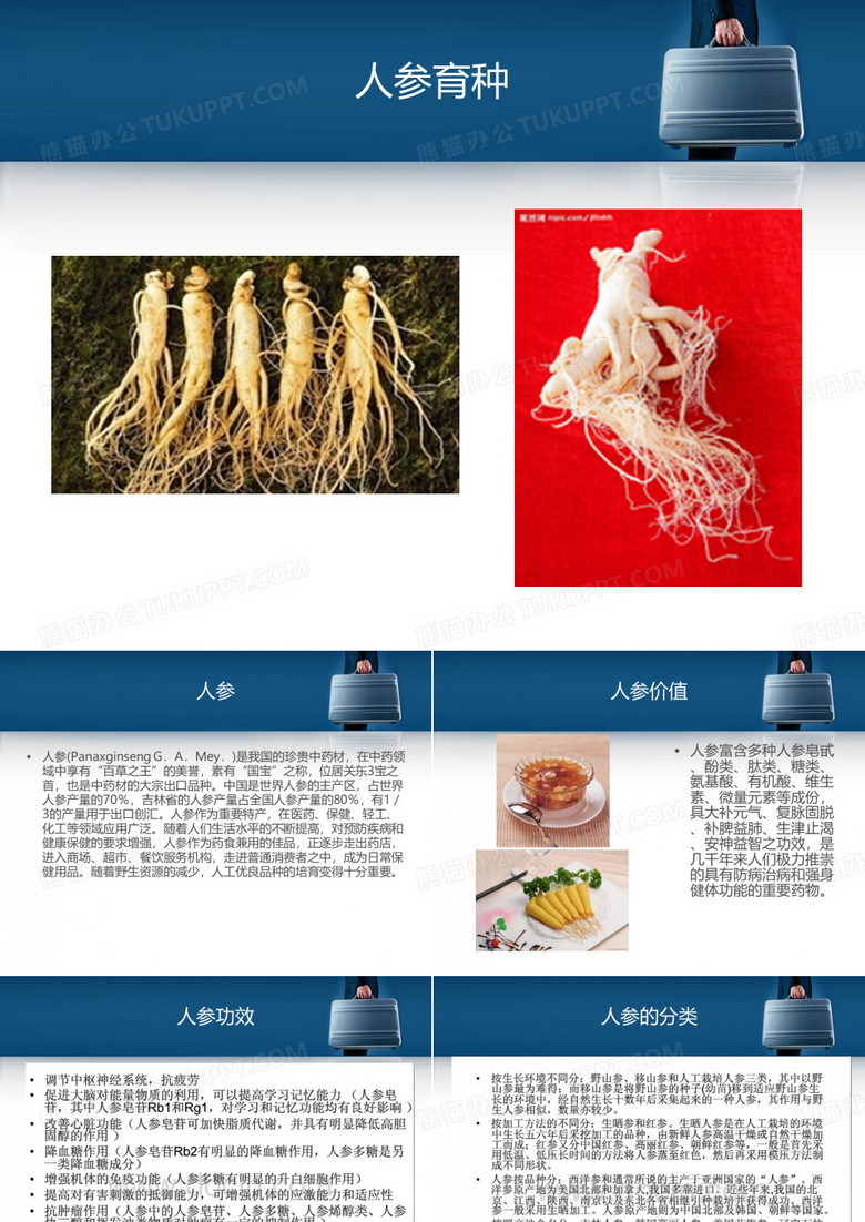 人参育种