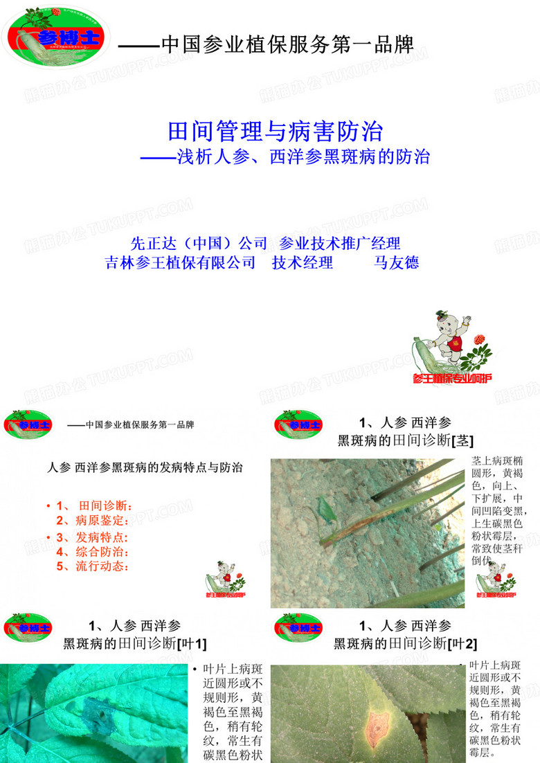 人参黑斑病