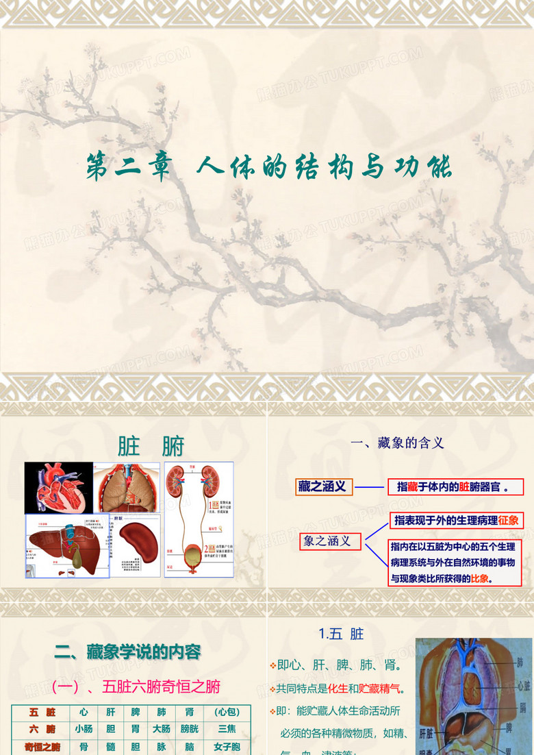 人体的结构与功能