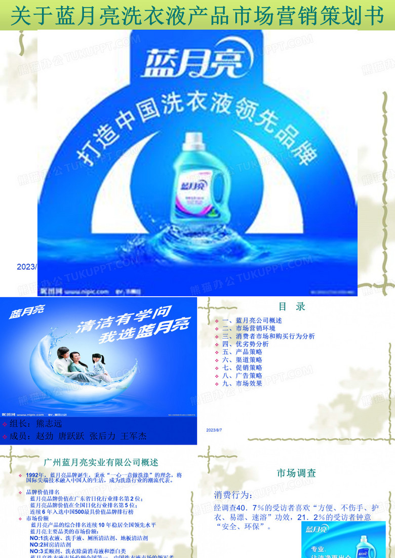 蓝月亮市场营销策划书PPT..
