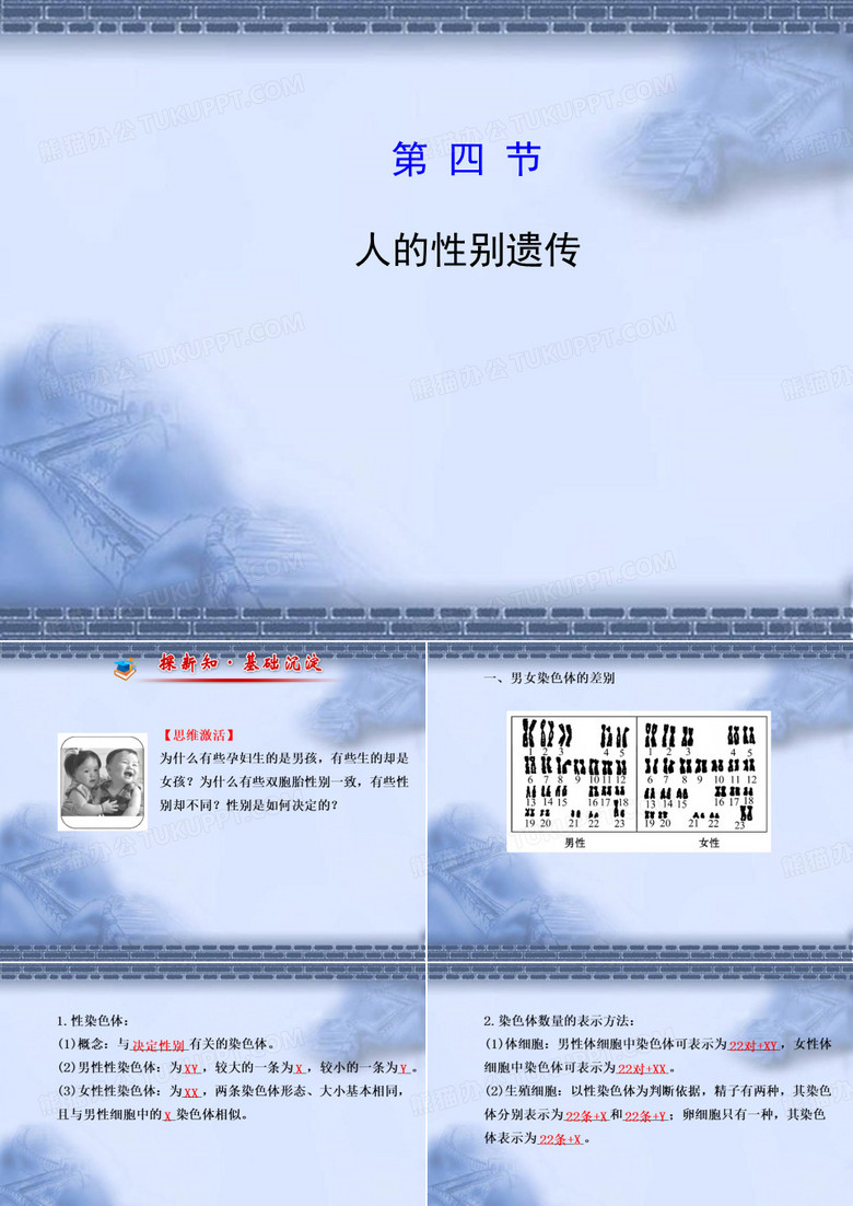 人教版新课程标准第四节人的性别遗传 课件