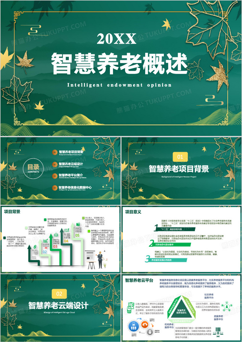 绿色联通智慧养老概述介绍PPT模板