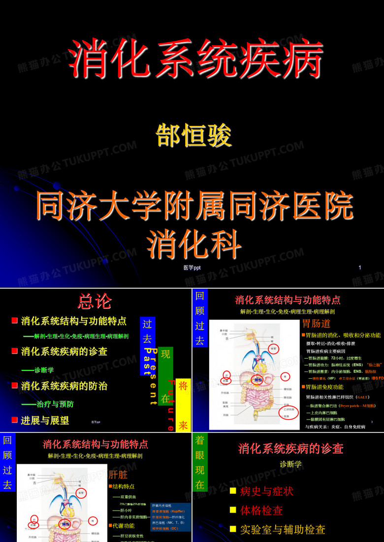 消化系统疾病同济大学附属同济医院