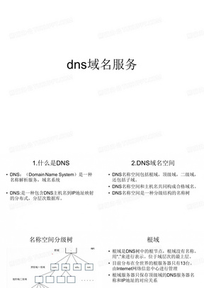 DNS服务器
