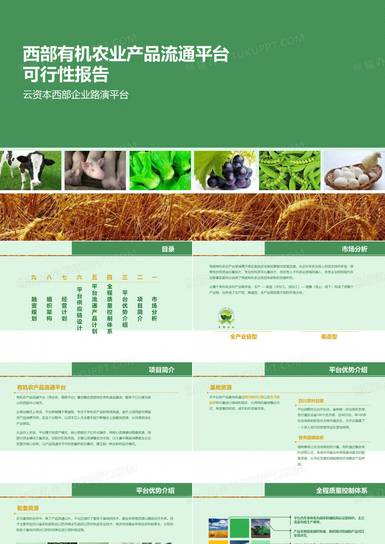 简约农业项目产品介绍PPT模板