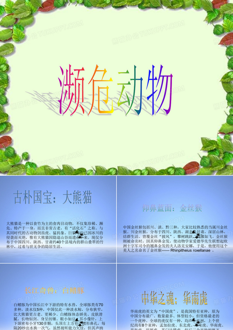 濒危动物ppt】