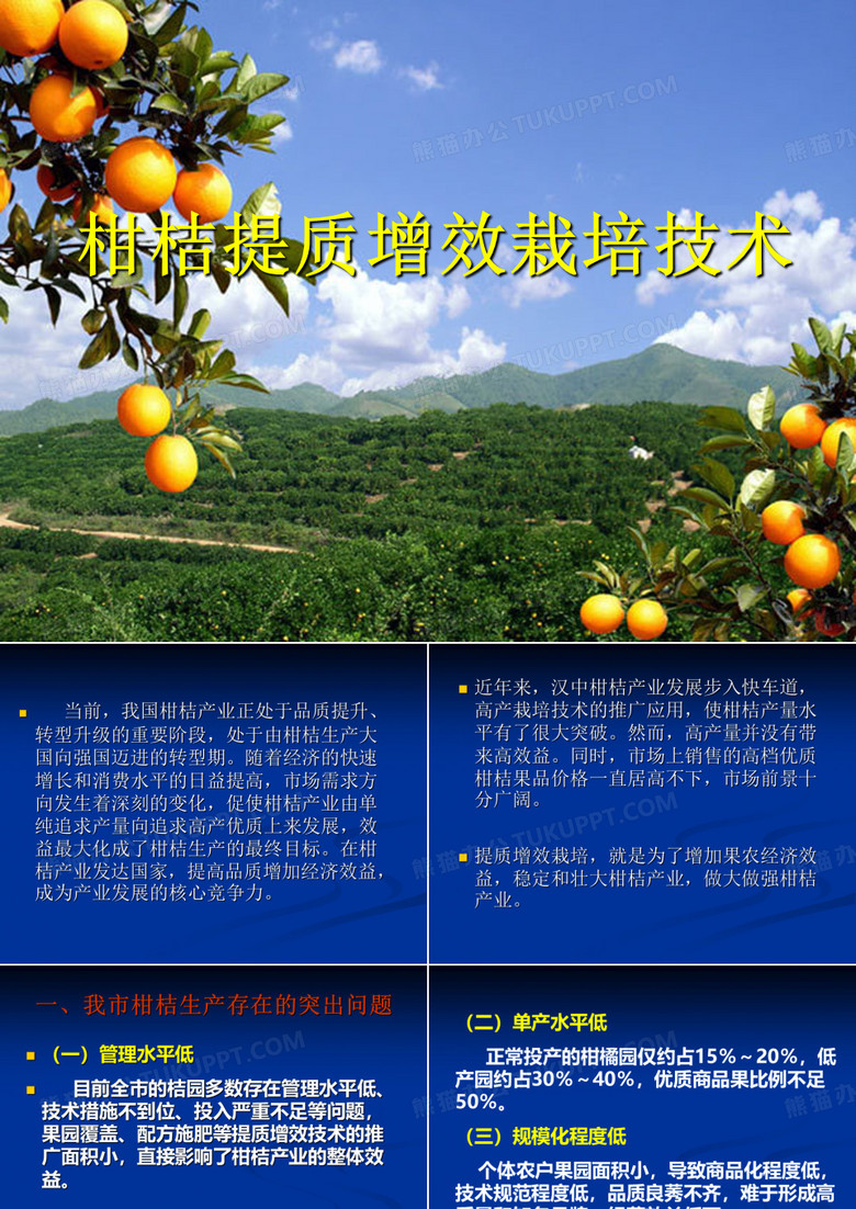 柑桔提质增效技术ppt课件