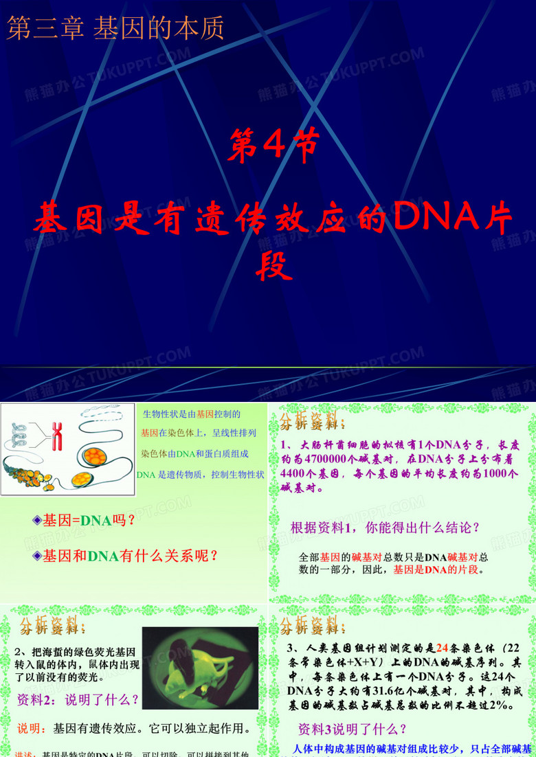 基因是DNA片段