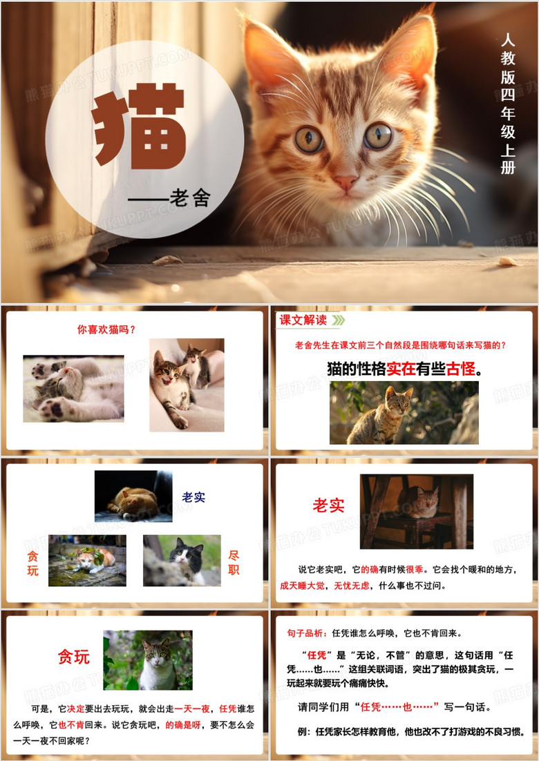 棕色简约风四年级上册猫PPT模板