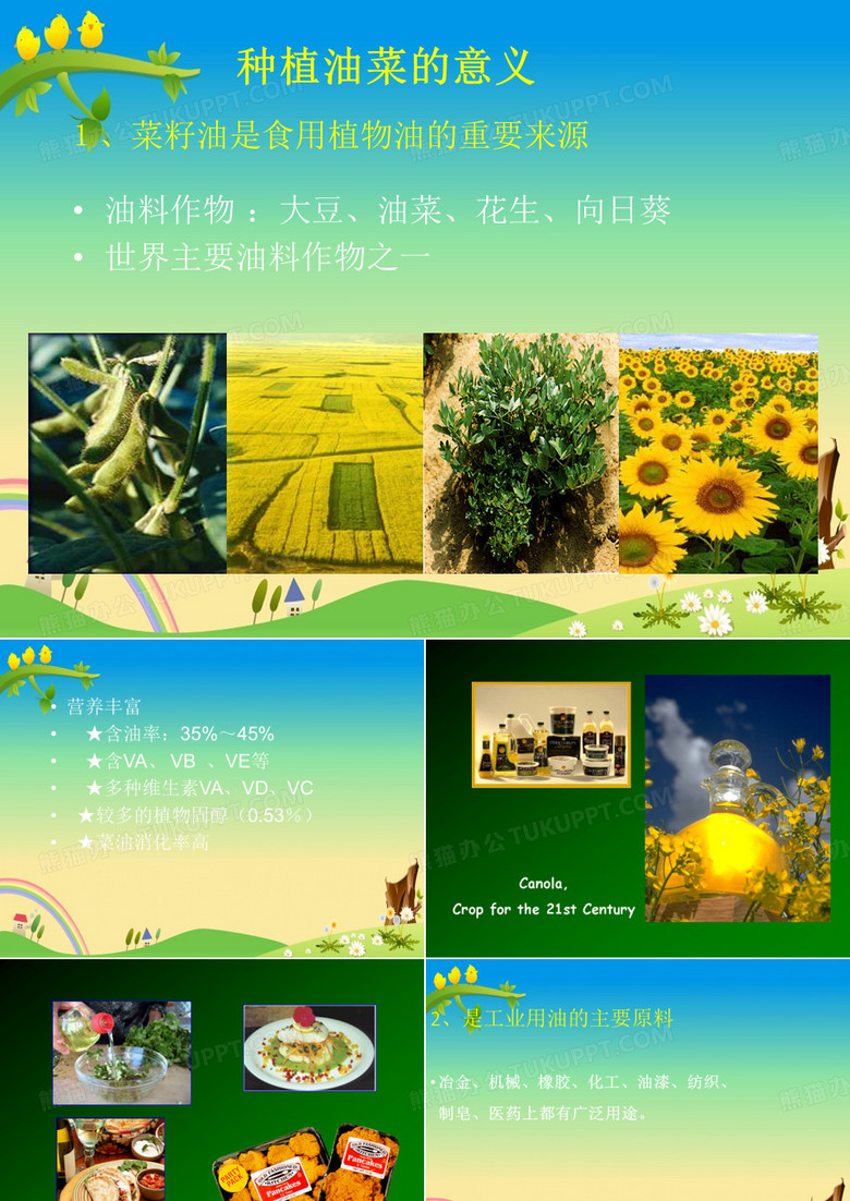 发展油菜栽培的意义与油菜生产概况——【农业种养殖精品】