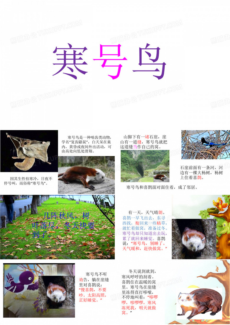 寒号鸟