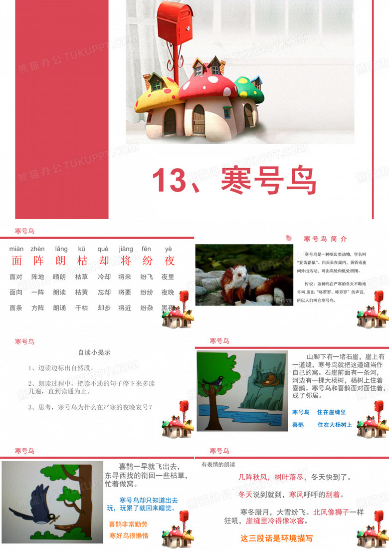 寒号鸟