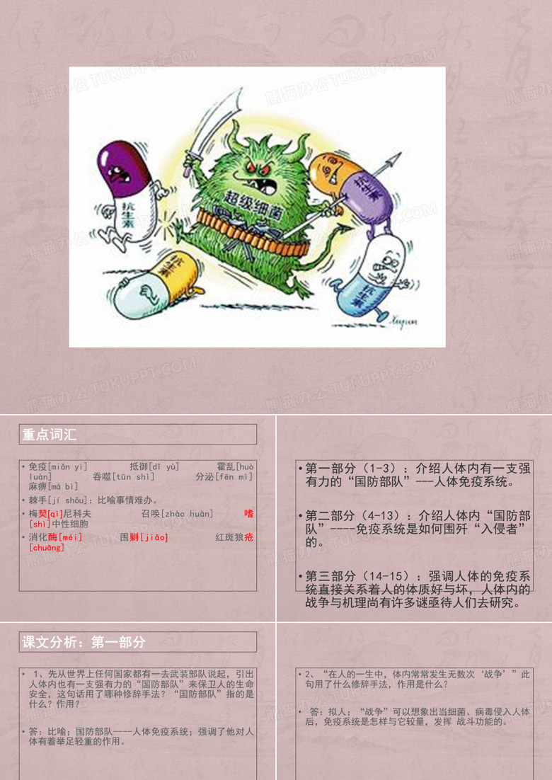 人体内的战争