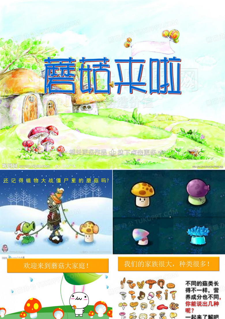 蘑菇的成长
