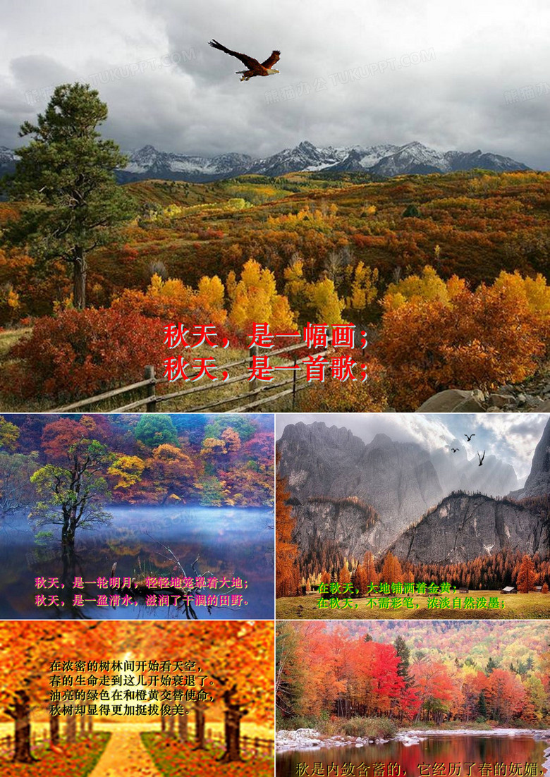 配乐散文朗诵《秋天的感怀》